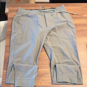 Lululemon Green/Grey ABC Jogger